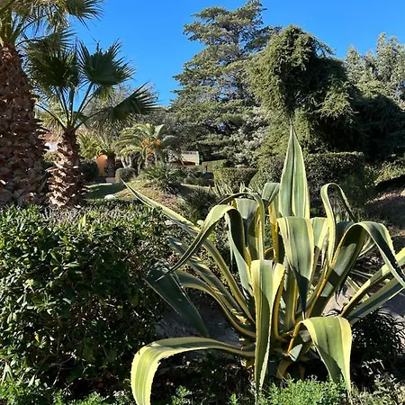 Vue Domaine Arbore Apartment