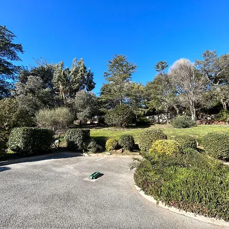 Vue Domaine Arbore * Saint-Raphaël