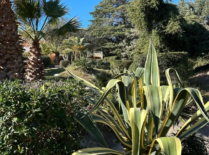 Vue Domaine Arbore Appartement