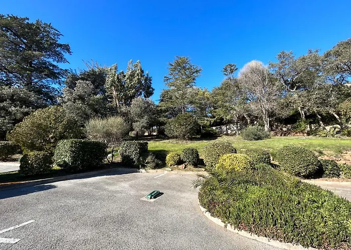 Vue Domaine Arboré * Saint-Raphaël